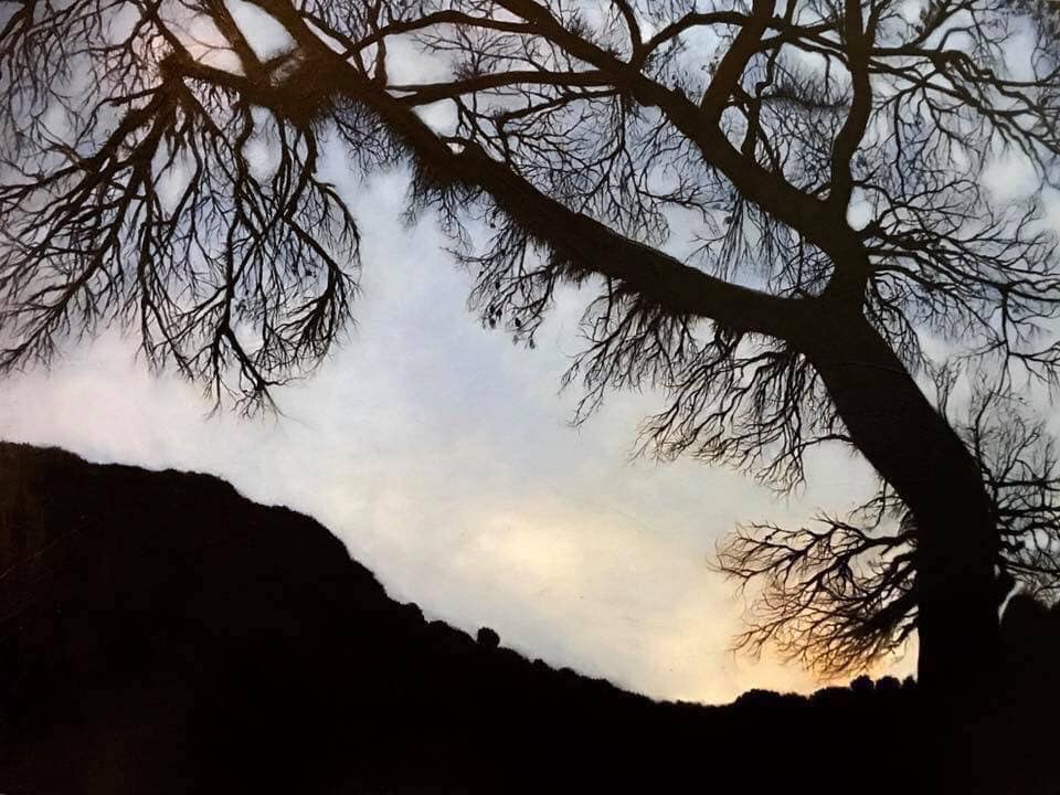 Silhouette